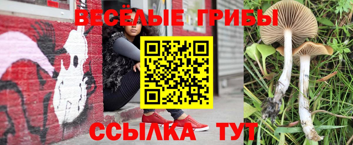 Галлюциногенные грибы Magic Shrooms Усинск